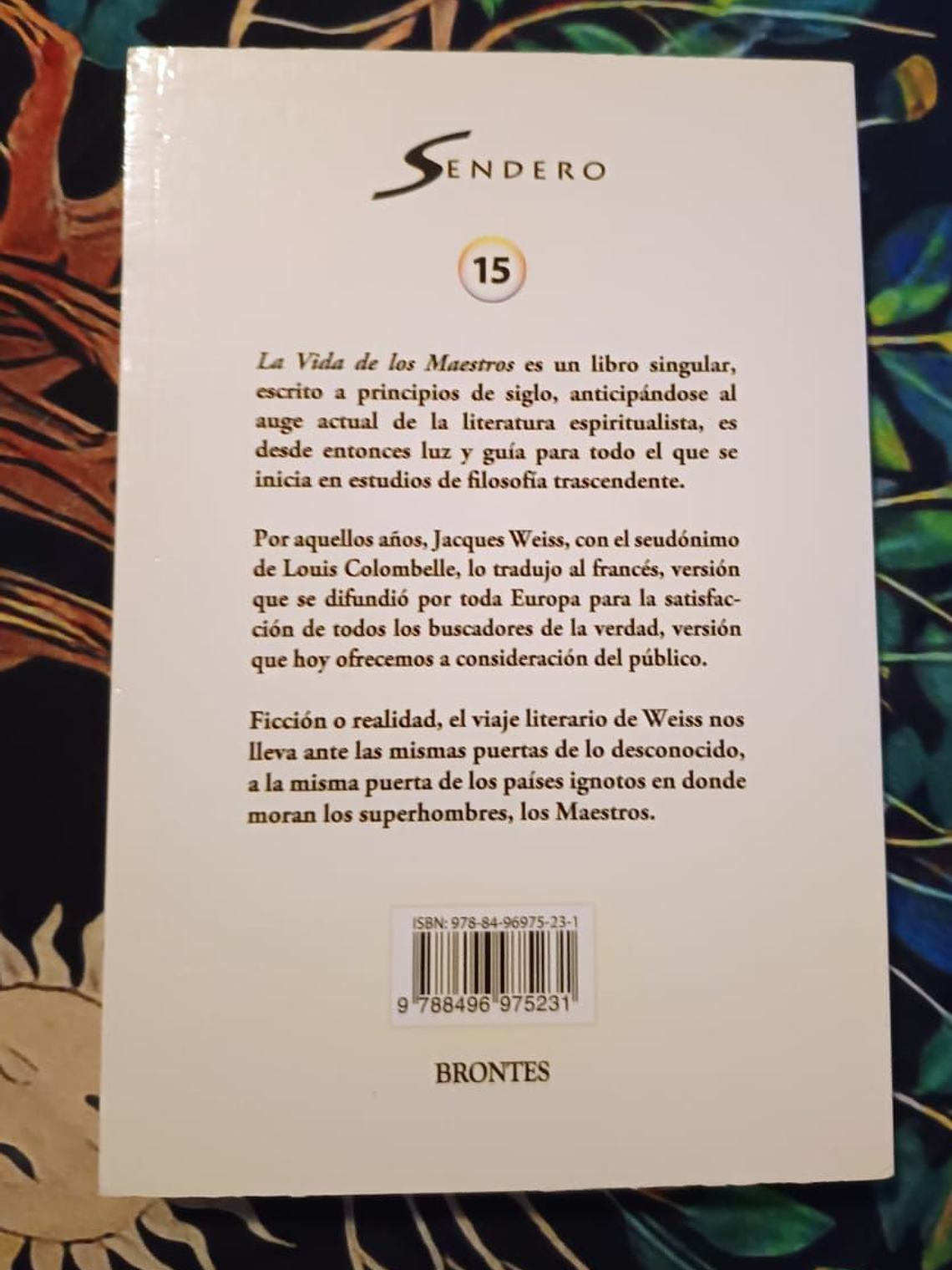 La Vida De Los Maestros 2