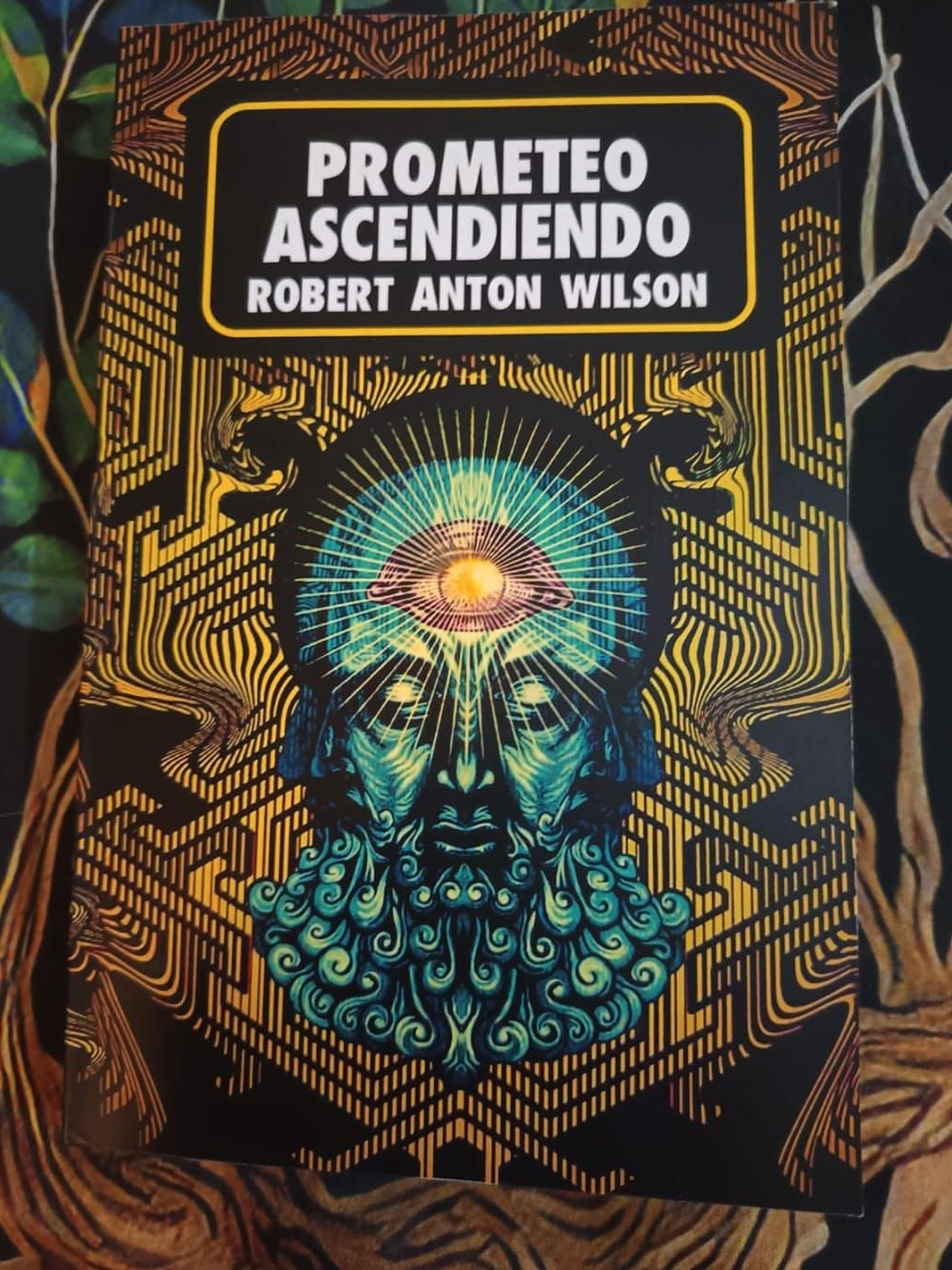 Libro Prometeo  Ascendiendo 1