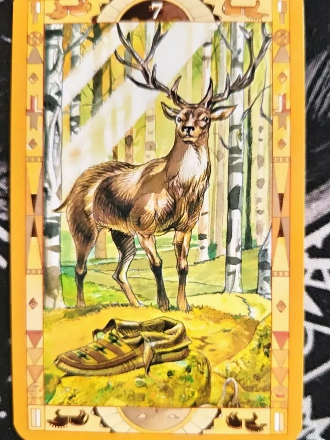 Oraculo De Las Pieles Rojas 3