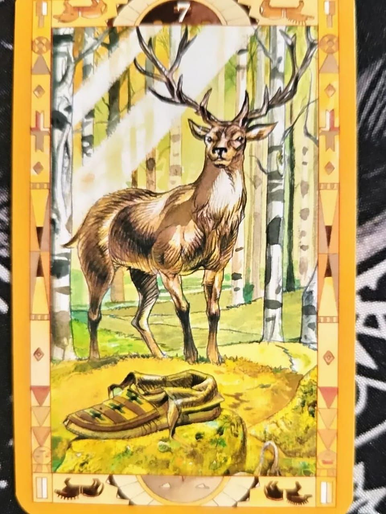 Oraculo De Las Pieles Rojas 3