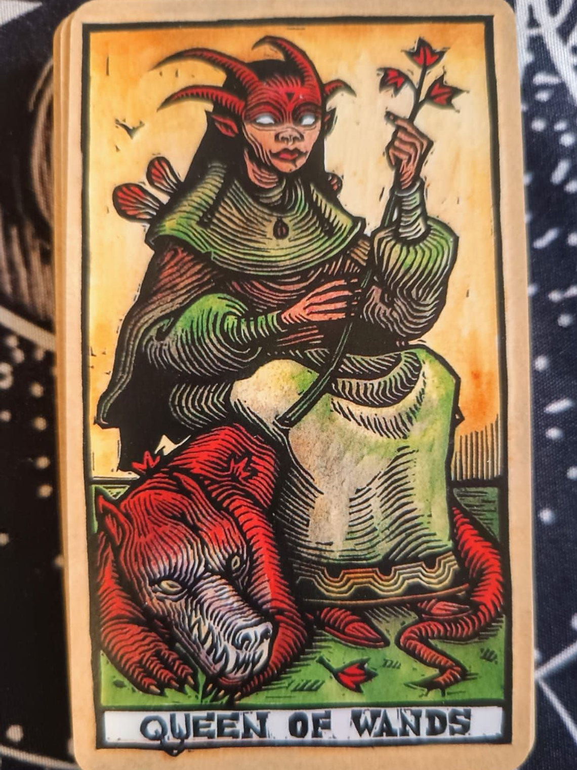 Tarot Del Toro 5
