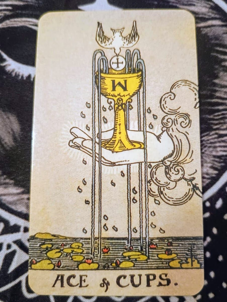 Tarot Rider Waite Edicion De Lujo 4