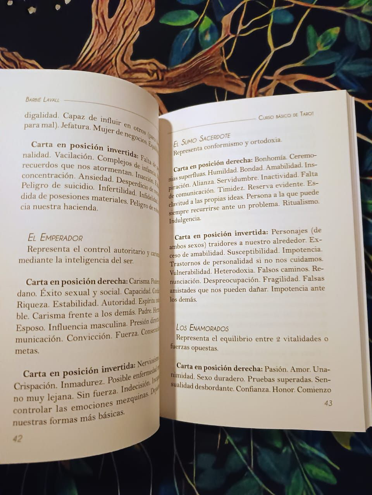 Libro Curso básico Tarot Marsella 4