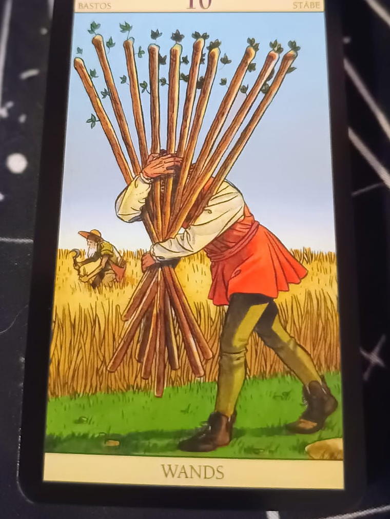 Tarot New Vision Edicion Bordes Dorados 4