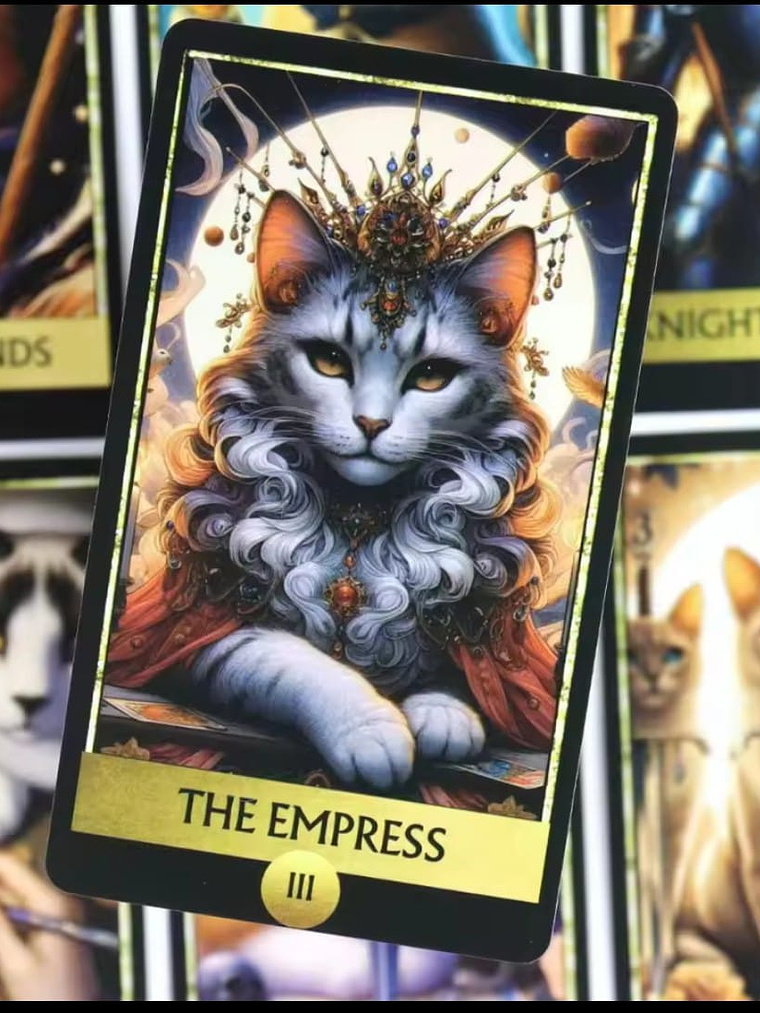 Cat Tarot  3