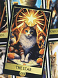 Cat Tarot  - Miniatura 4