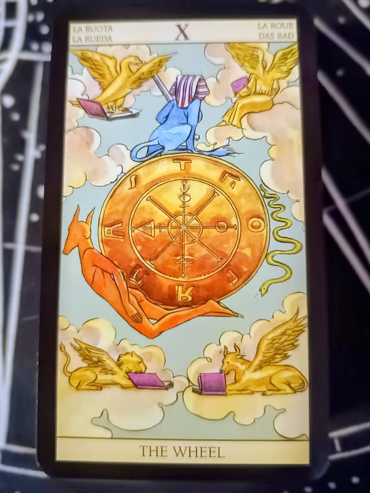 Tarot New Vision Edicion Bordes Dorados 3