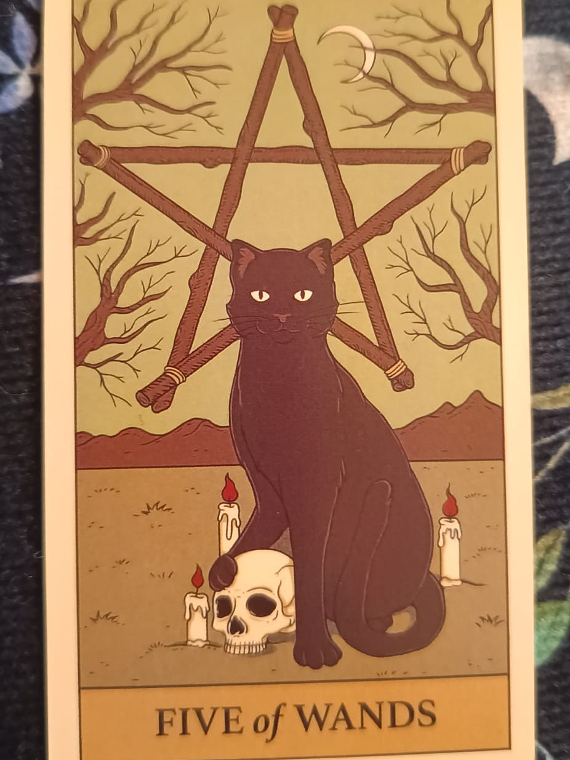 Tarot Cats Rule the Earth 3