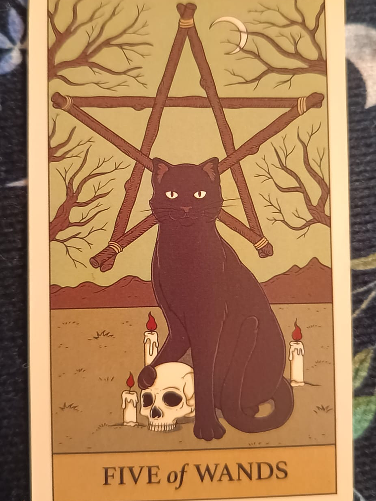 Tarot Cats Rule the Earth 3