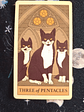 Tarot Cats Rule the Earth - Miniatura 4