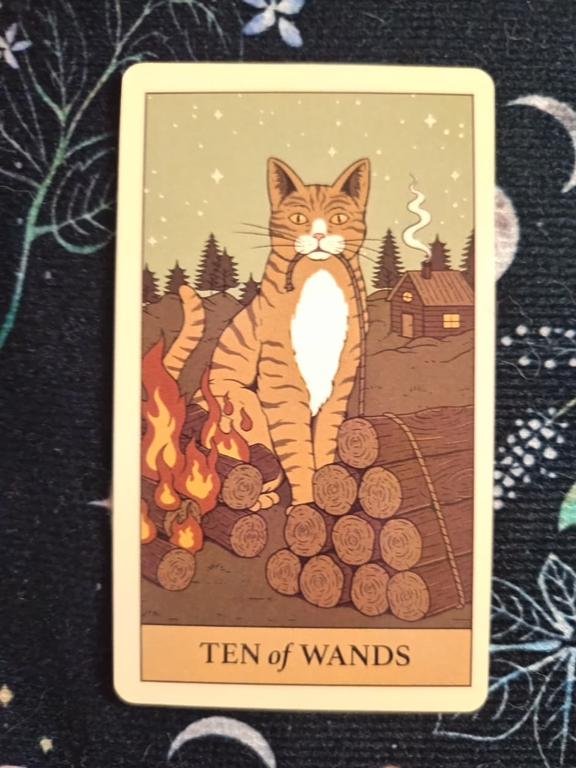 Tarot Cats Rule the Earth 6