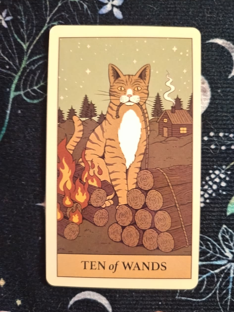 Tarot Cats Rule the Earth 6