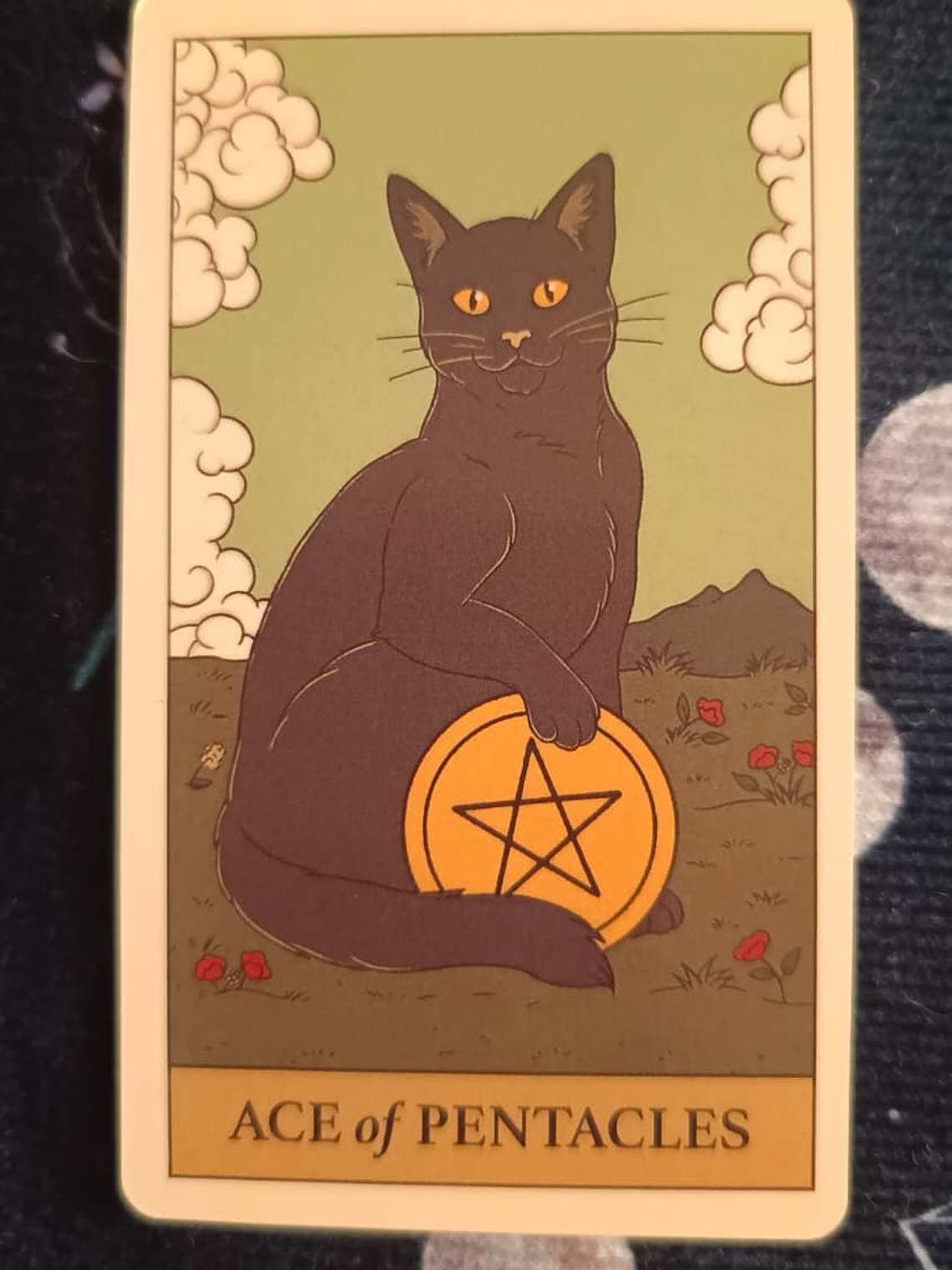 Tarot Cats Rule the Earth 7