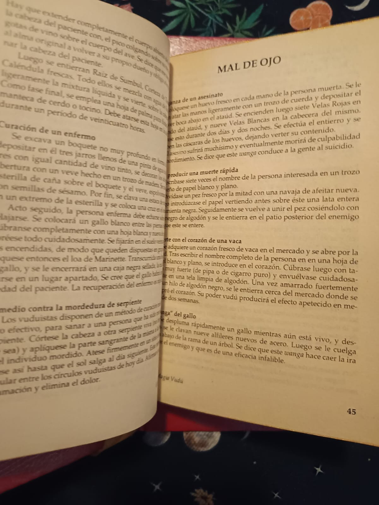 Libro La Magia Vudu 2