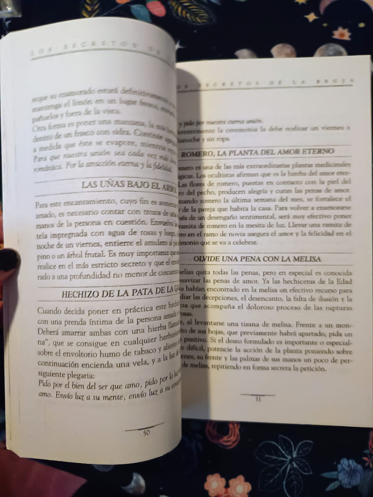 Libro Los Secretos de la Bruja 2