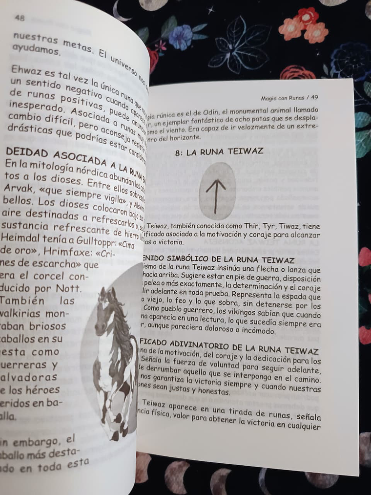 Magia Con las Runas 3