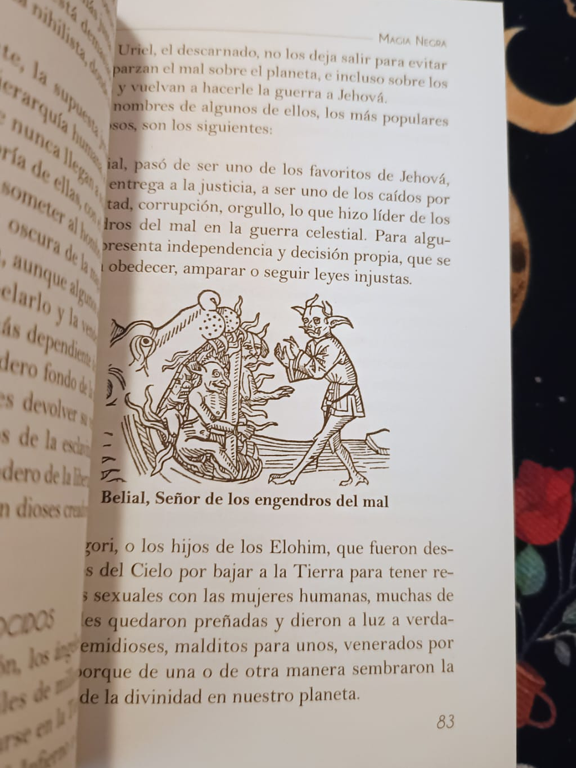 Libro Magia Negra  3