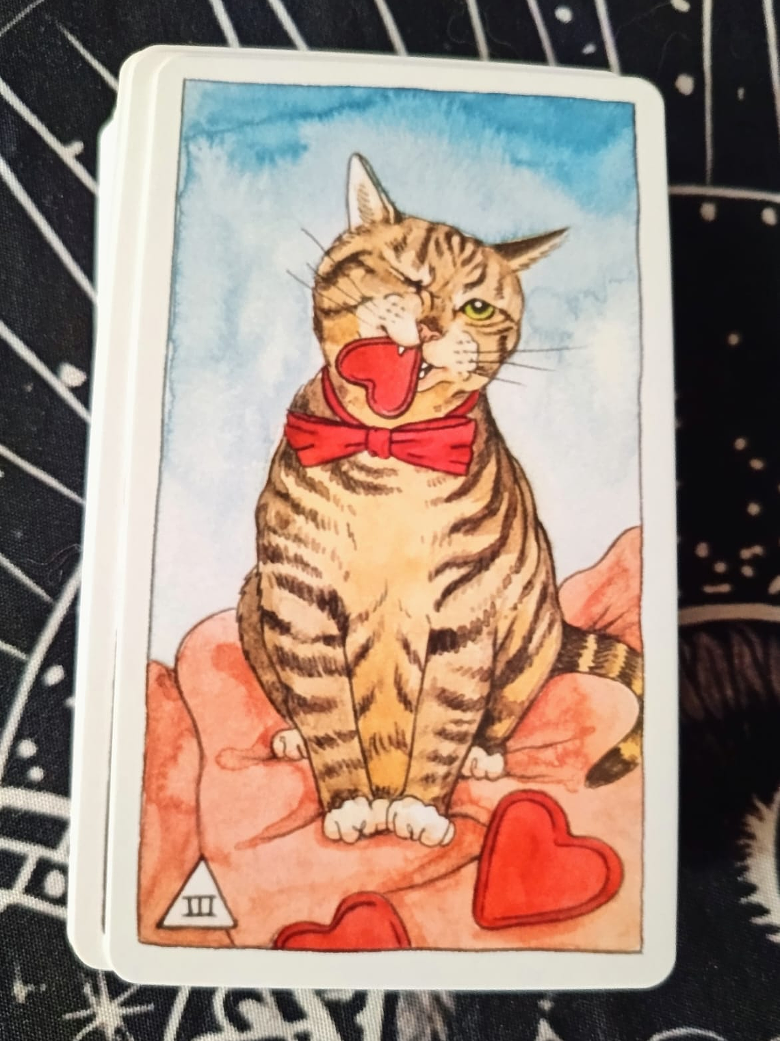 Cat Tarot  2