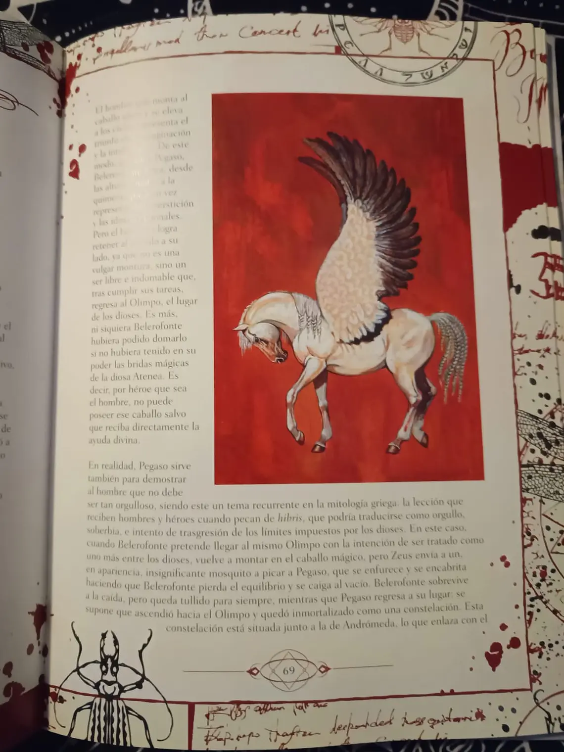 Simbologia del Bestiario  6