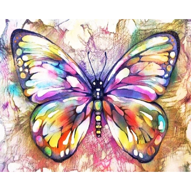 Pintura por números 25x35cm en bastidor Pájaro Azul - Painting by number