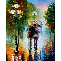 Pintura por números bajo la lluvia (40x50 cm)