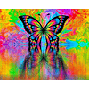 Pintura por números Mariposa 2