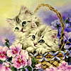 Diamond Painting Gatos 2 (40x50cm)