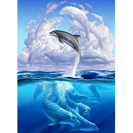 Diamond Painting Delfines 2 (40x50cm)