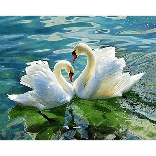 Diamond Painting Pareja de Cisnes (40x50cm)