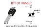 BT131 - Miniatura 2