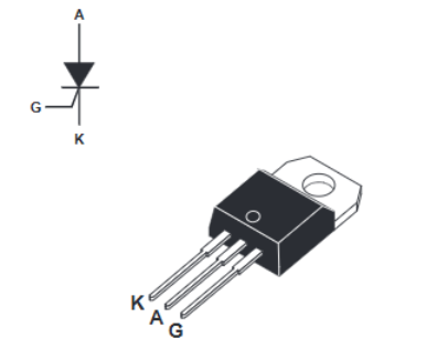 TYN610 2
