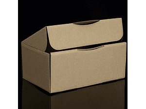 Caja autoarmable  15,5x10x24 24 unid