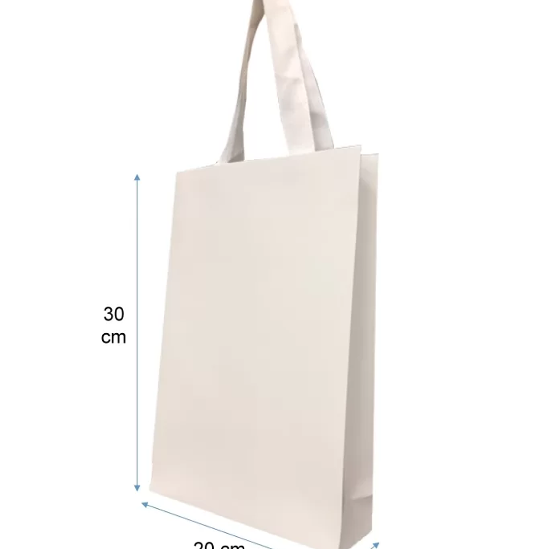 Set 50 bolsas de papel premium 30x20x6 blancas 1