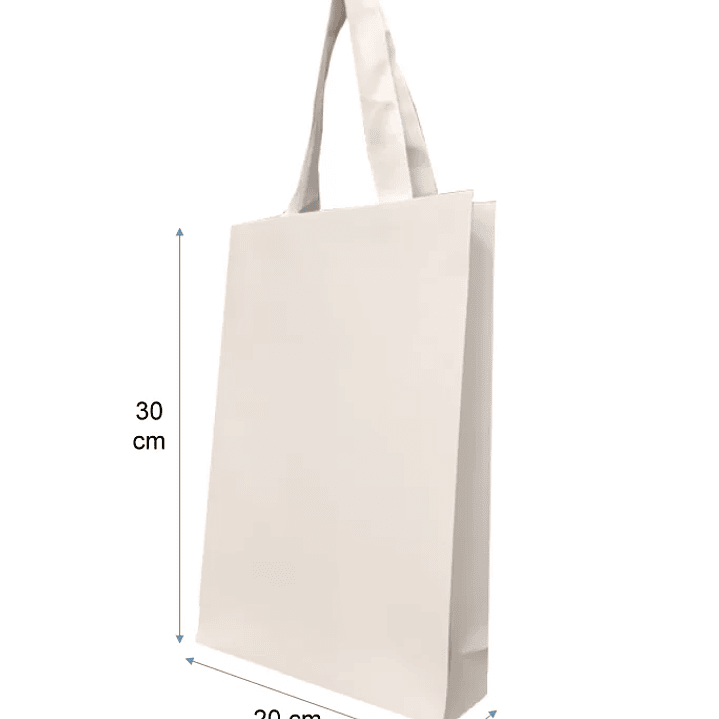 Set 50 bolsas de papel premium 30x20x6 blancas 1