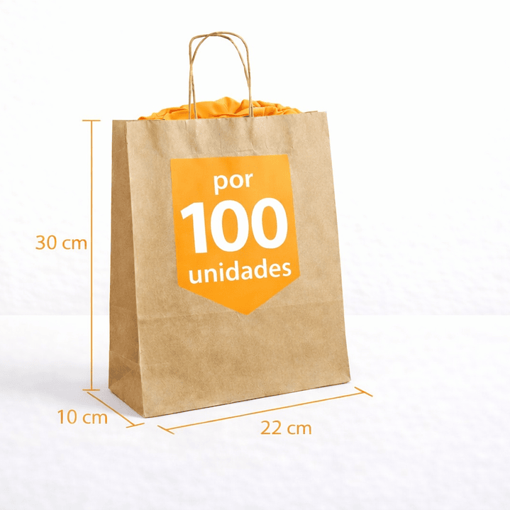 Pack bolsas de papel kraft 30x22x10 cm 5