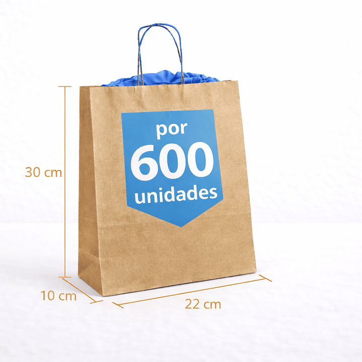 Pack bolsas de papel kraft 30x22x10 cm 8
