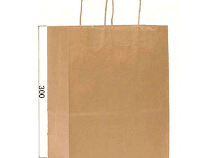 Kit  Bolsas Pedidos medianos-grandes