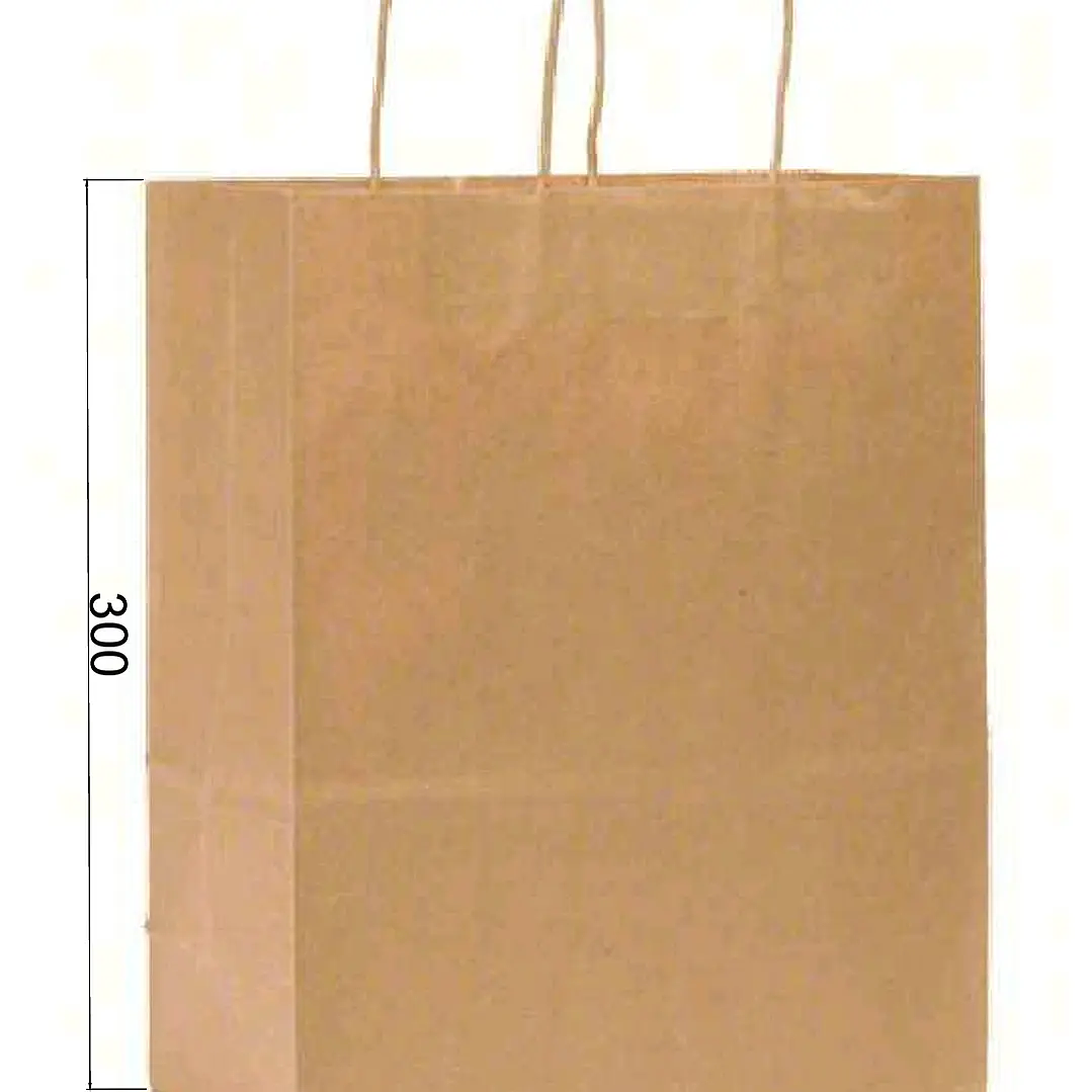 Kit  Bolsas Pedidos medianos-grandes 2