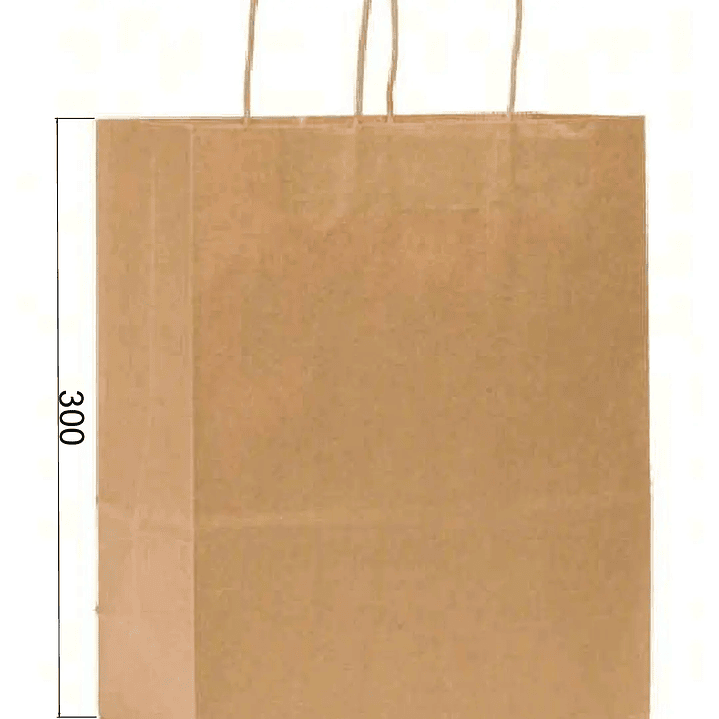 Kit  Bolsas Pedidos medianos-grandes 2