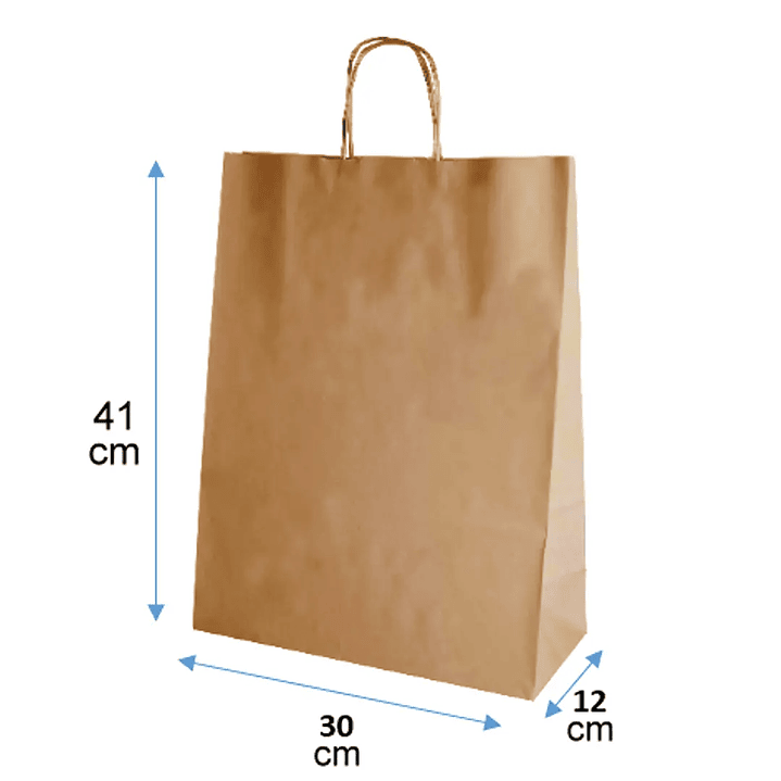 Kit  Bolsas Pedidos medianos-grandes 3