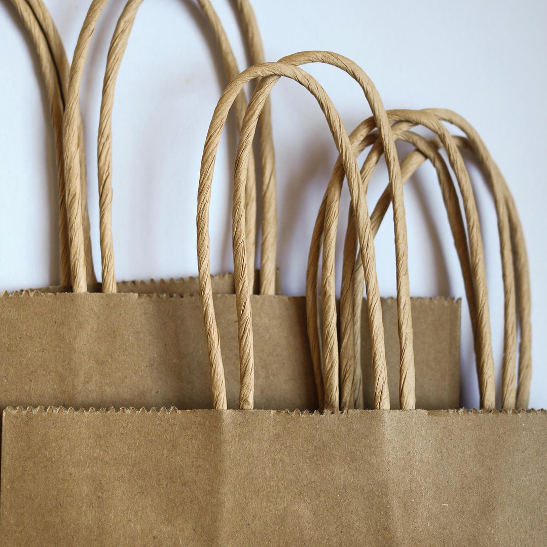 Pack bolsas de papel kraft 30x22x10 cm 2