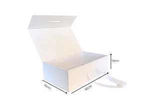 Caja magnética blanca con manilla 40x30x10