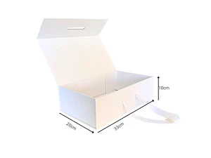 Caja Magnética 33x20x10 Blanco Con Manilla
