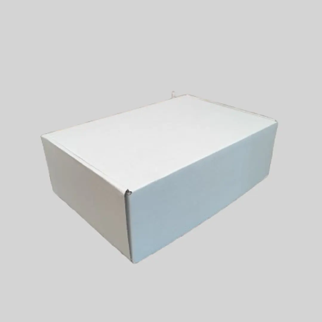 Pack 50 Caja 30x20x10 autoarmable blanca 1