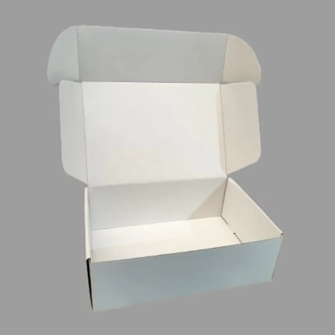 Pack 50 Caja 30x20x10 autoarmable blanca 2