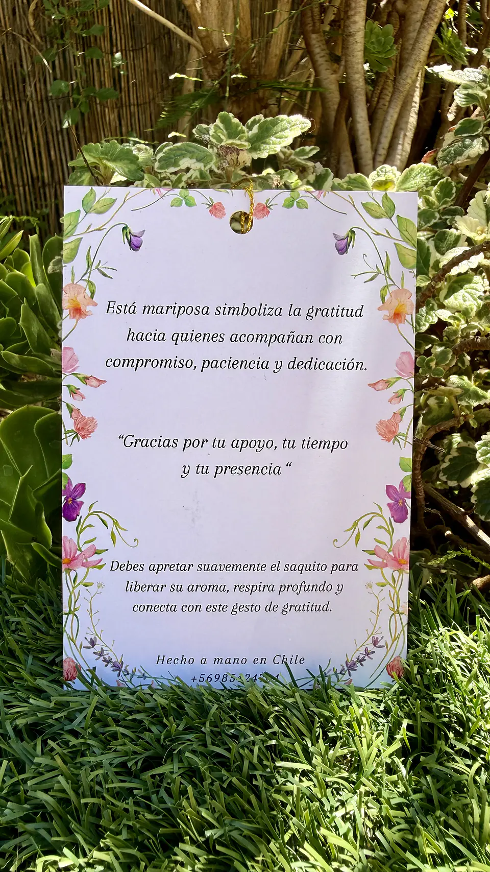 Mariposa de la gratitud  2