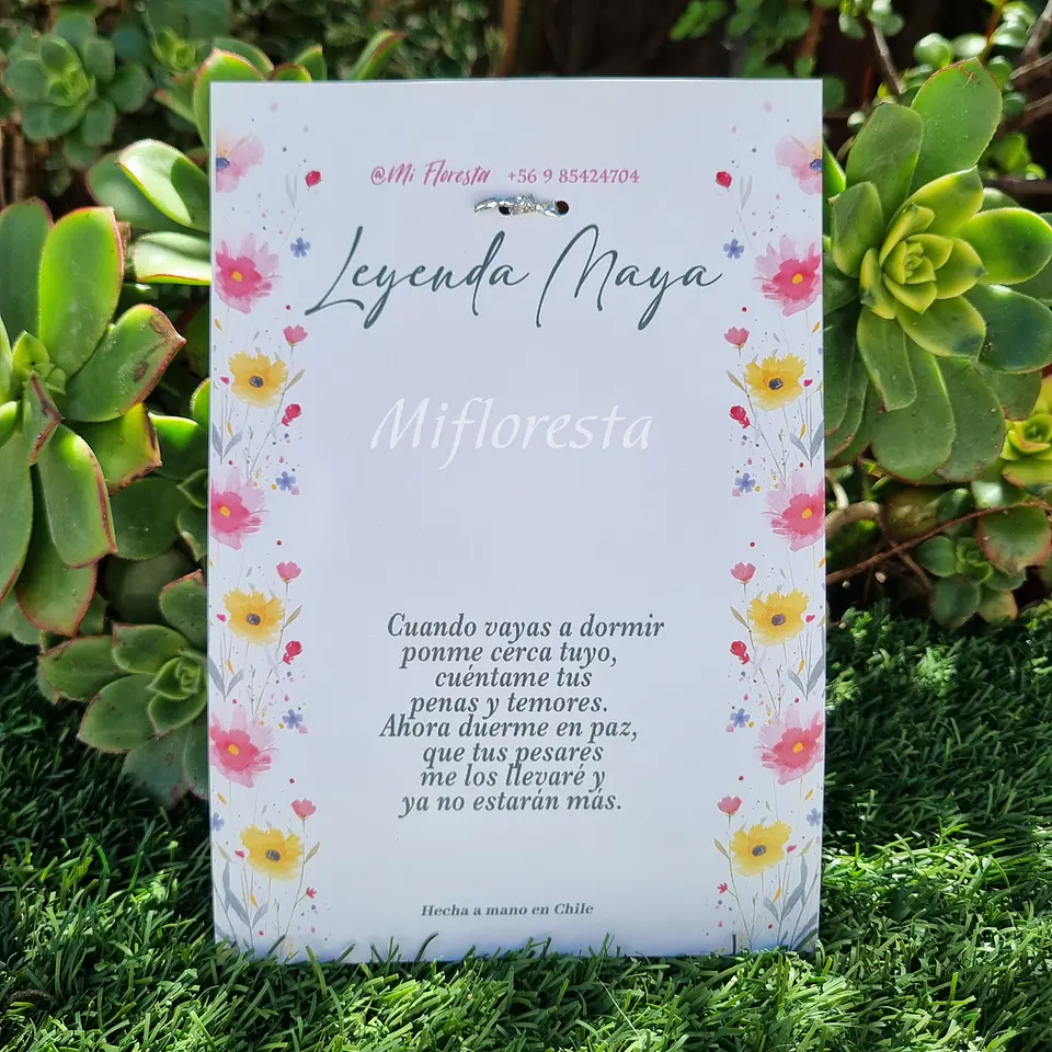 Guardiana Quita Penas  3