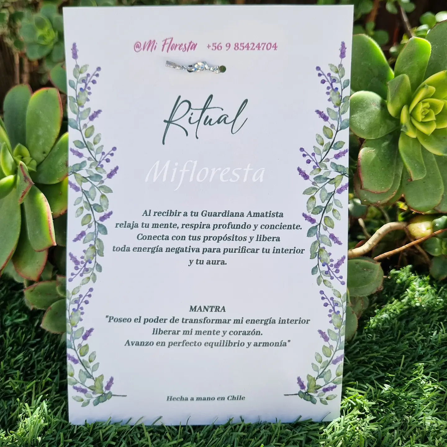 Guardiana Amatista  3