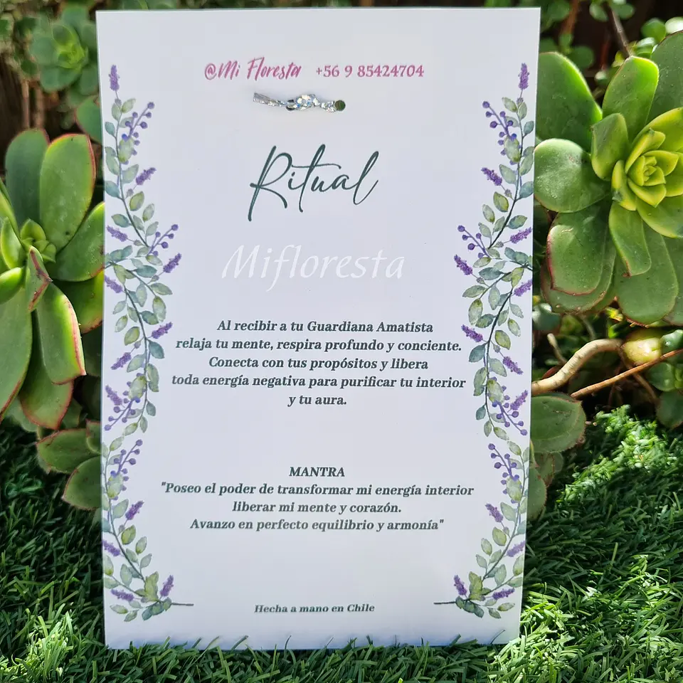 Guardiana Amatista  3