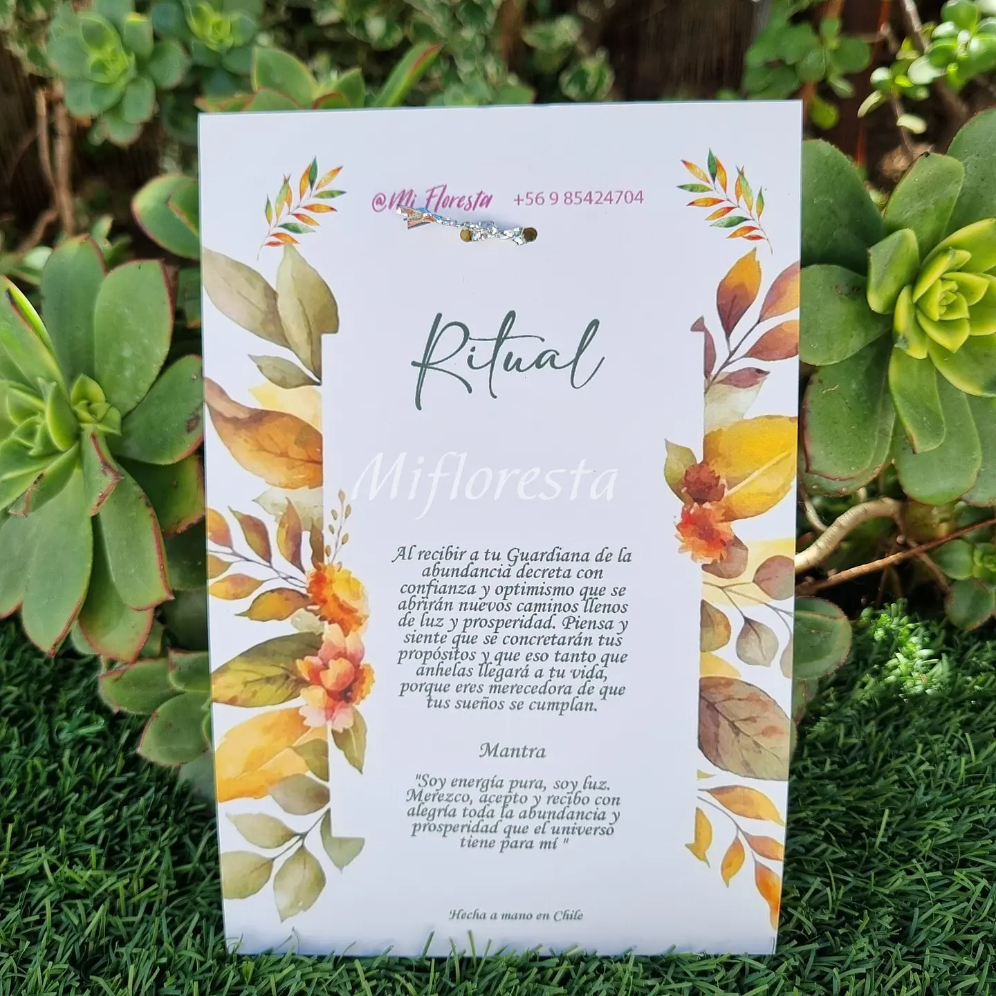 Guardiana Abundancia  3